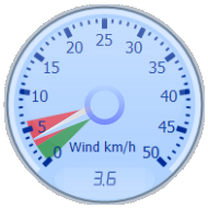 Wind Gauge